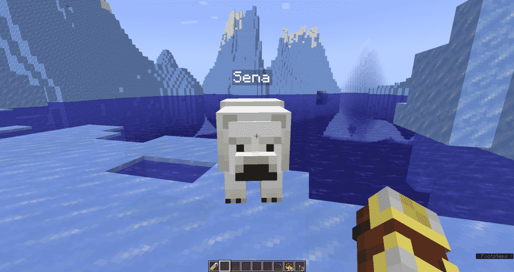 Tag the polar bear with the nametag