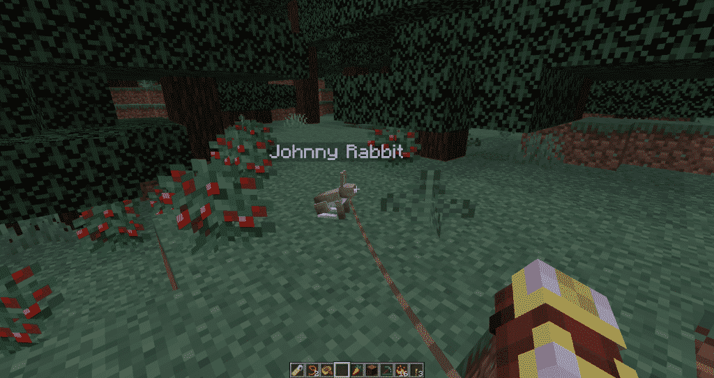 Take the rabbit home