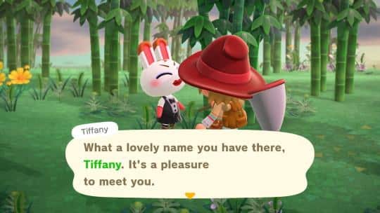Tiffany's Name
