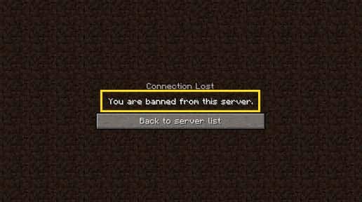 Types of Bans in Minecraft