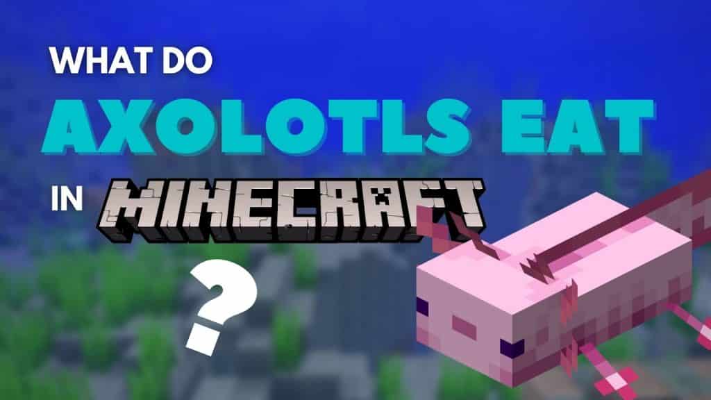 What Do Axolotls Eat in Minecraft