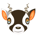 Zell’s Looks similar blackbuck antelopes