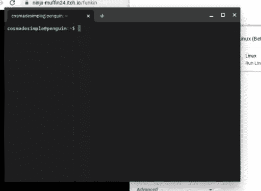 linux terminal chromebook