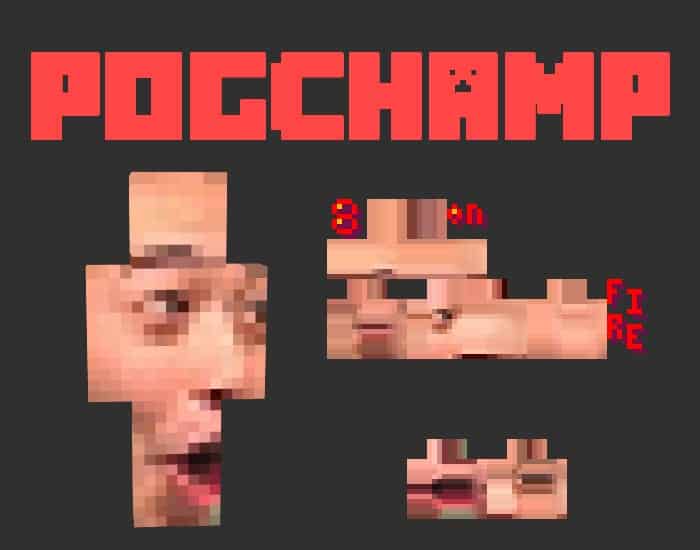 POGCHAMP in minecraft
