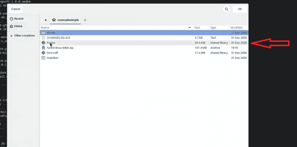 select the package from directory