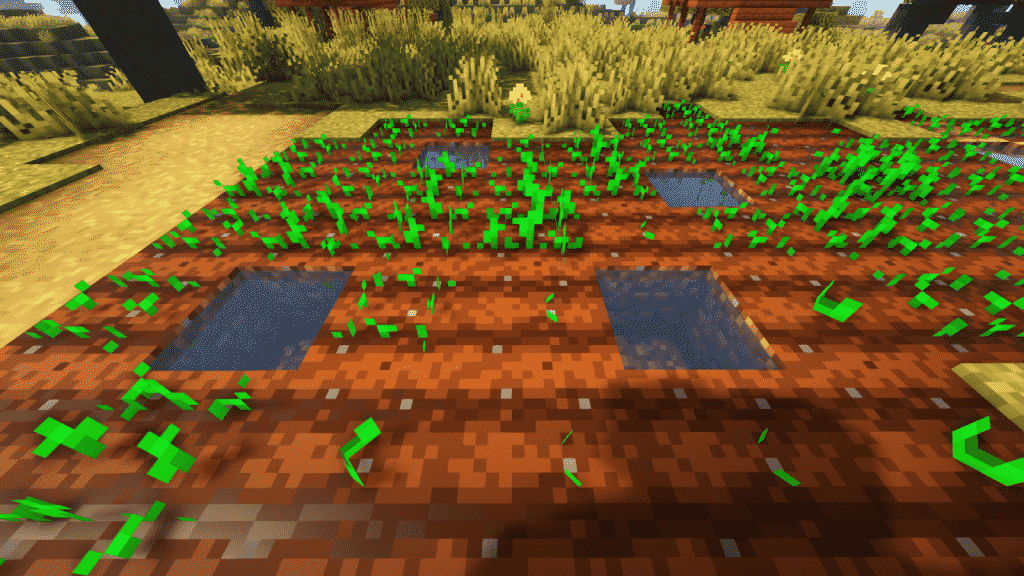 set up a wheat farm in minecraft