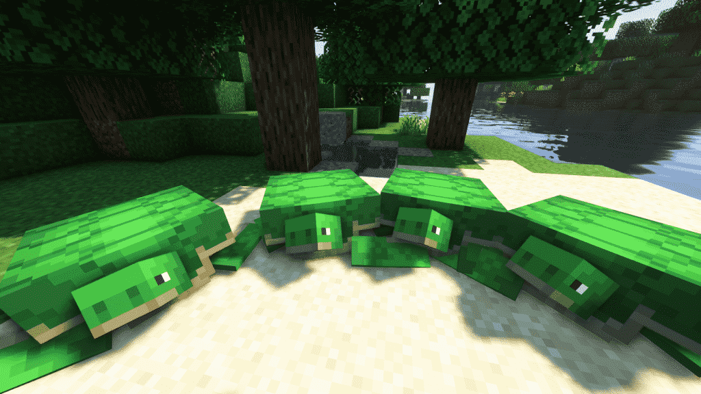 turtles following in minecraft