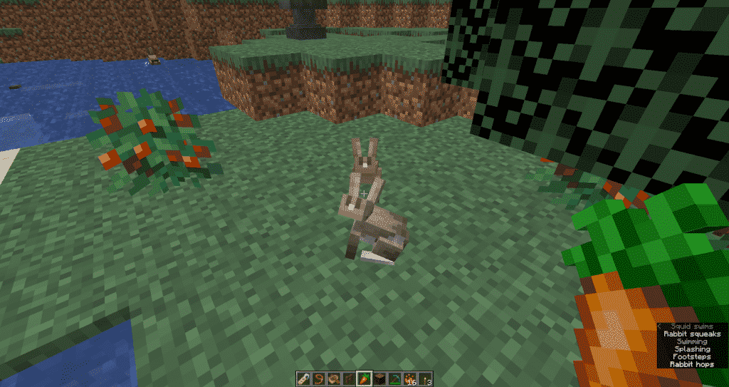 wait for the rabbit in minecraft