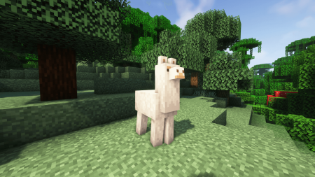 what do llamas eat in minecraft