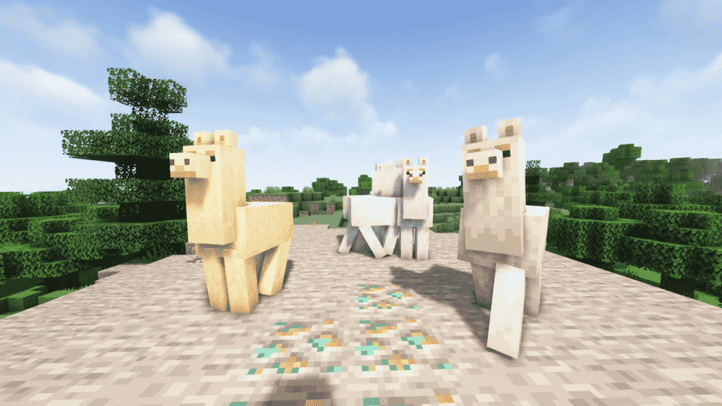 where to find llamas in minec