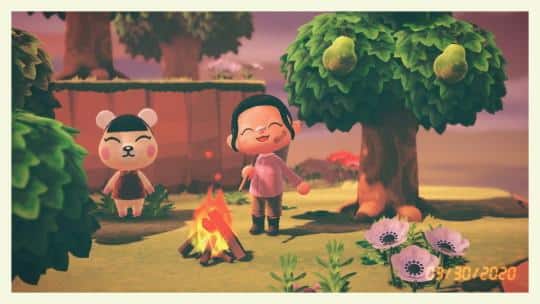 chance to get pekoe animal crossing