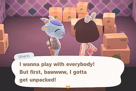 chance to get sherb acnh