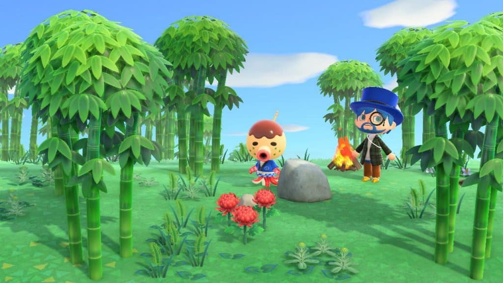 chance to get zucker in animal crossing