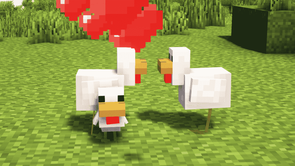 chicken love mode minecraft