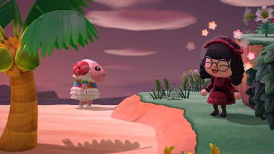 dom campsite animal crossing