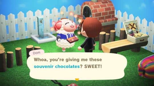 dom interior design animal crossing new horizons