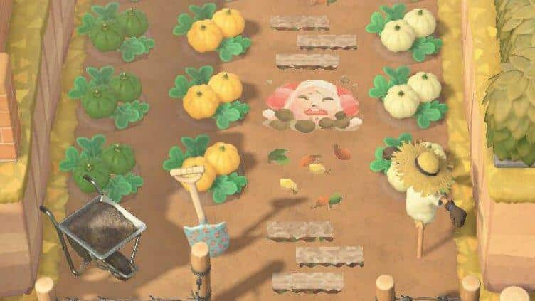 dom popularity animal crossing