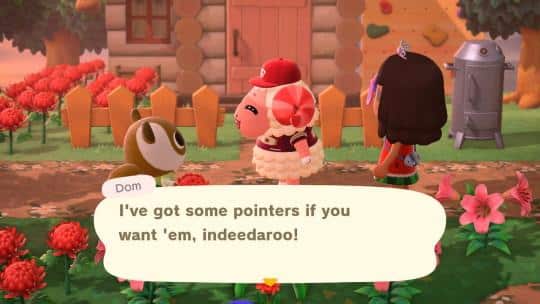 dom with normal villager animal crossing