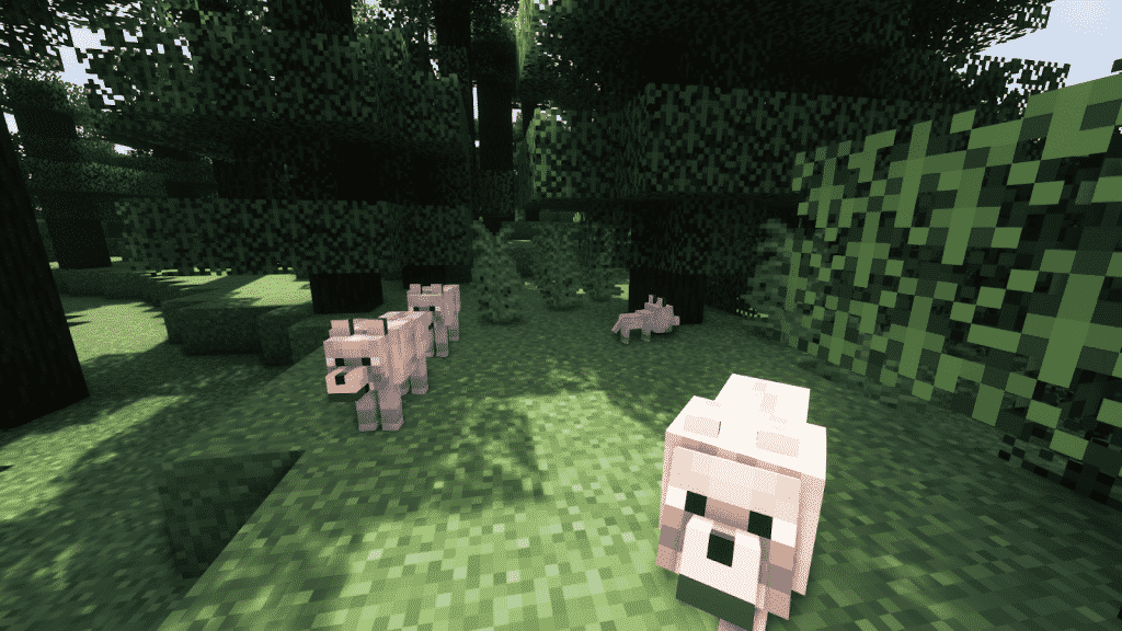 find wolves in minecraft