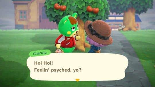 greetings for big sister villagers animal crossing