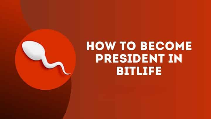 how to become president in bitlife