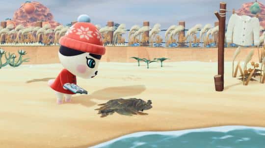 how to get pekoe animal crossing