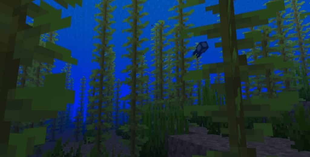 kelp in ocean minecraft