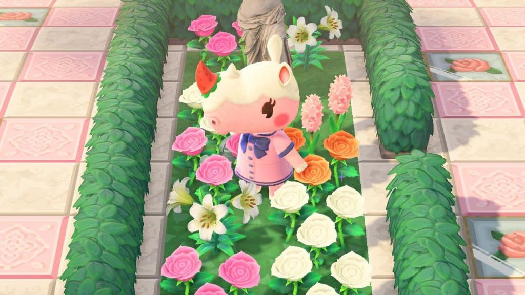 merengue in sailor dress acnh