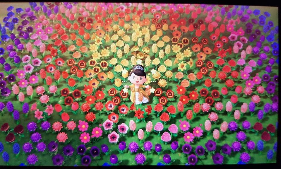 rainbow flower garden design animal crossing