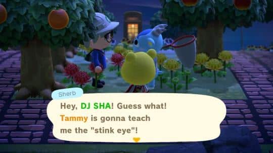 sherb comments preppy friends singing