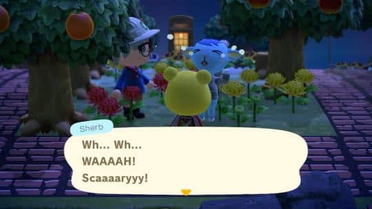 sherb with other personalities