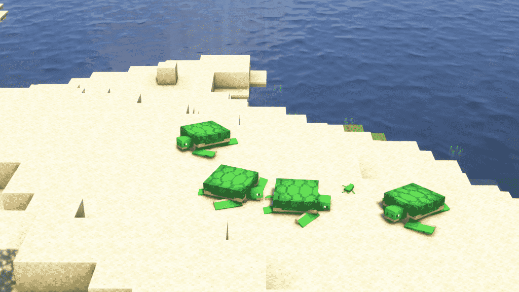 turtles in beach biome minecraft