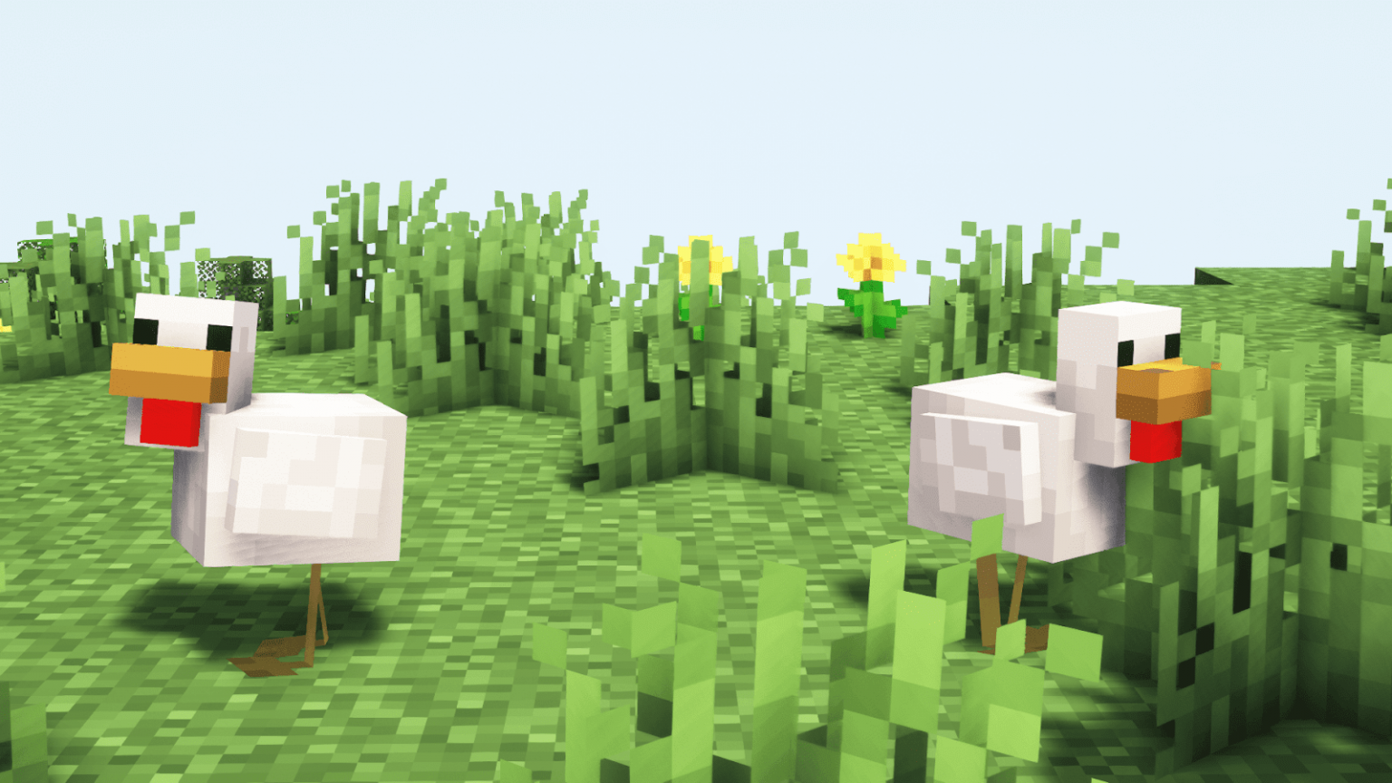 what do chickens eat in minecraft