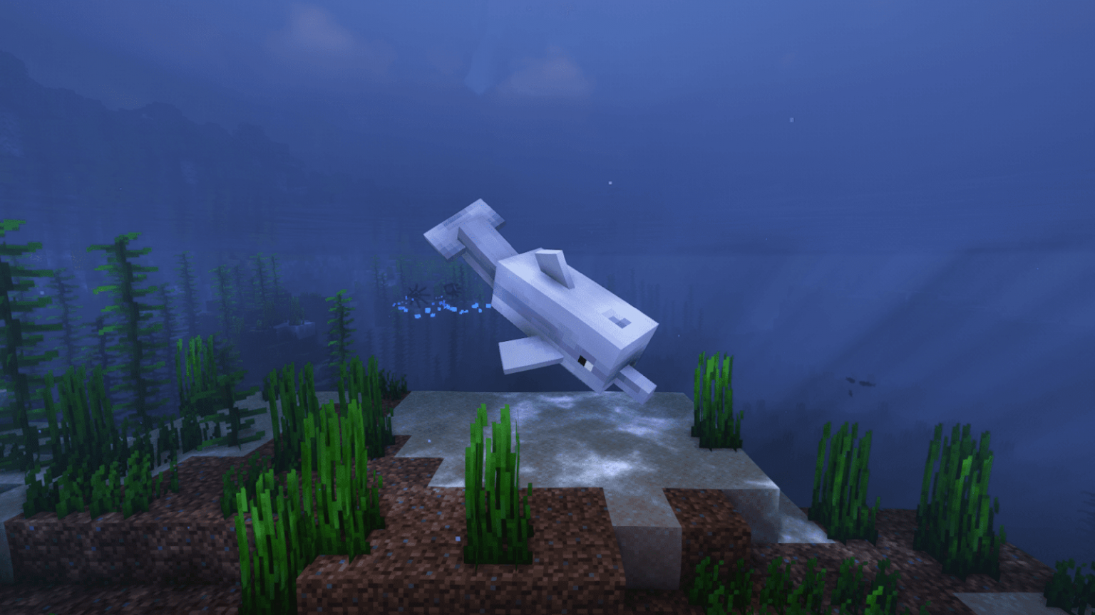 what do dolphins eat in minecraft