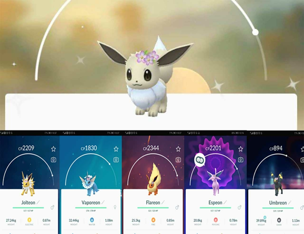 will there be another eevee community day