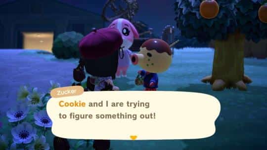 zucker talking animal crossing