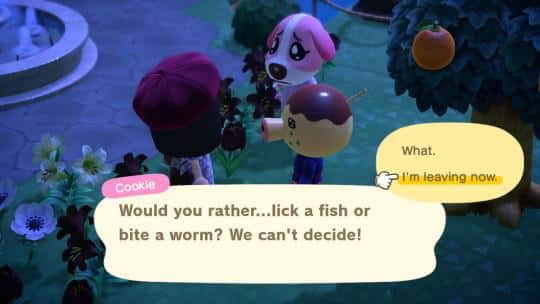 zucker wacky conversations animal crossing