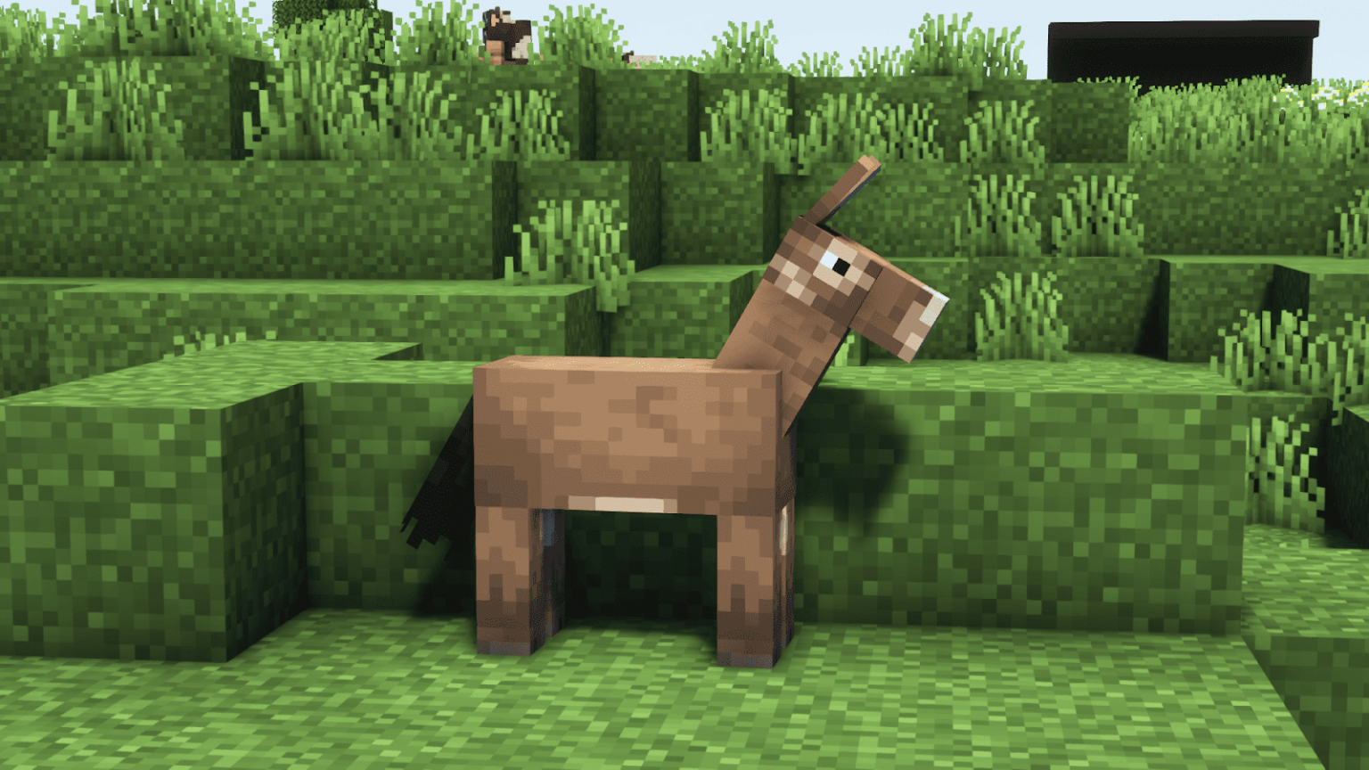 What Do Donkeys Eat in Minecraft