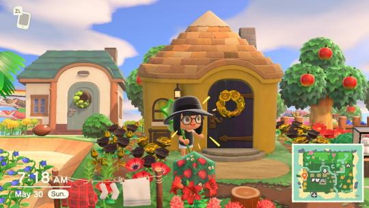 ankha house animal crossing