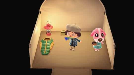 campsite method to get cookies acnh