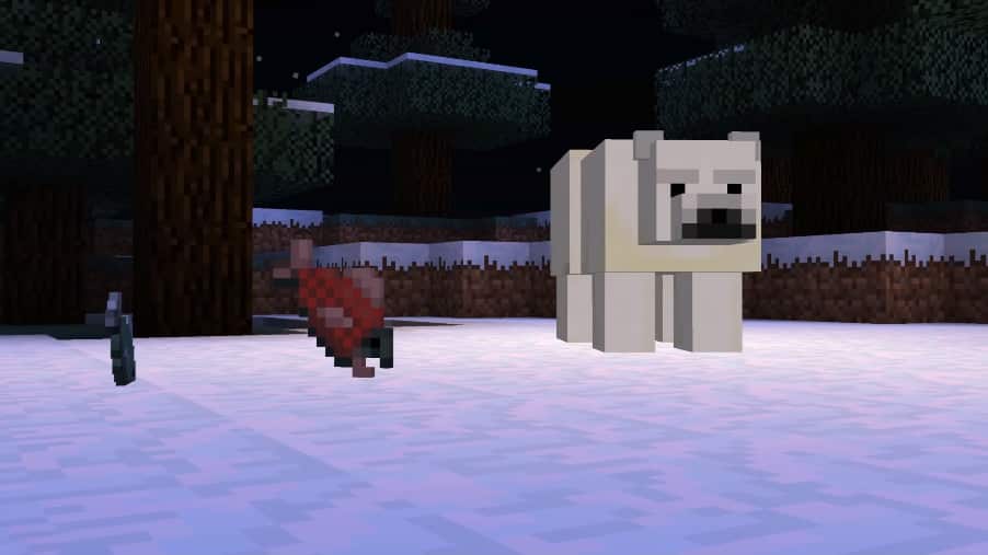 can you feed polar bears in minecraft