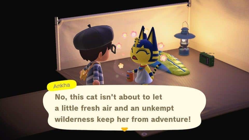 chance to get ankha acnh