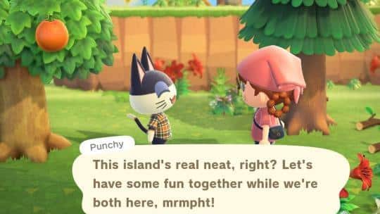 chance to get punchy by mystery tours