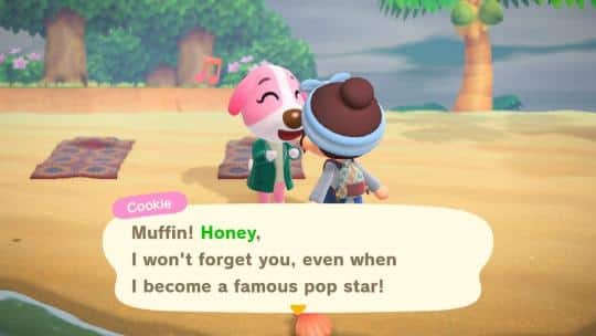 cookie superstar dream acnh catchphrase