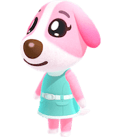 cookie’s looks animal crossing