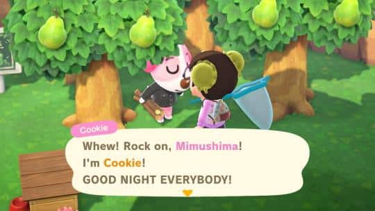 cookie’s name in animal crossing