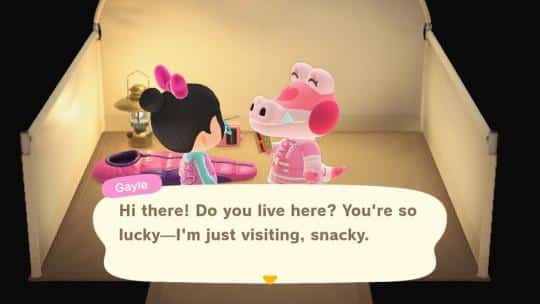 gayle acnh catchphrase