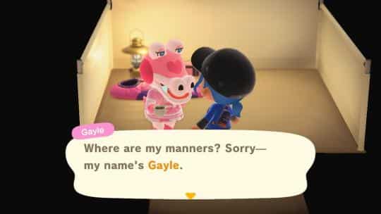 gayle name in animal crossing