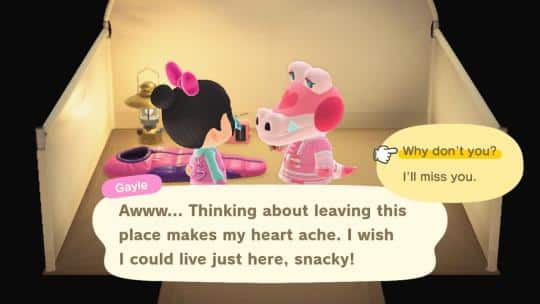 get gayle by campsite method animal crossing
