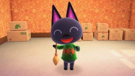 get kiki by mystery tours method in acnh